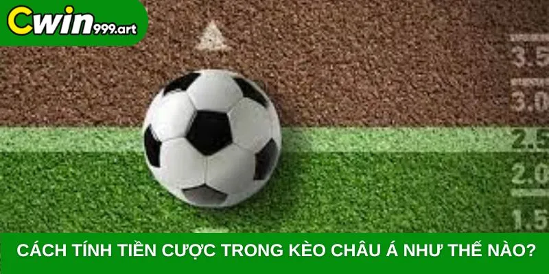 Cách tính tiền cược trong kèo Châu Á như thế nào?