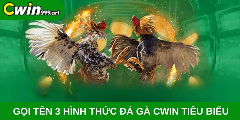 Gọi tên 3 hình thức đá gà CWIN tiêu biểu