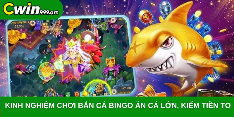 Kinh nghiệm chơi bắn cá BINGO ăn cá lớn, kiếm tiền to