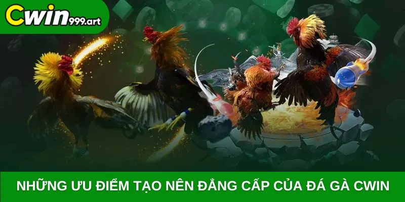 Những ưu điểm tạo nên đẳng cấp của đá gà CWIN