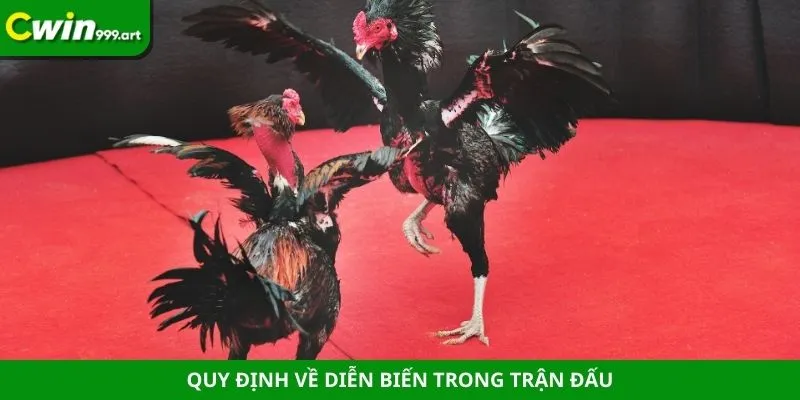 Quy định về diễn biến trong trận đấu