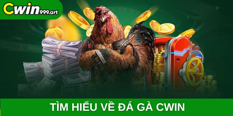 Tìm hiểu về đá gà CWIN